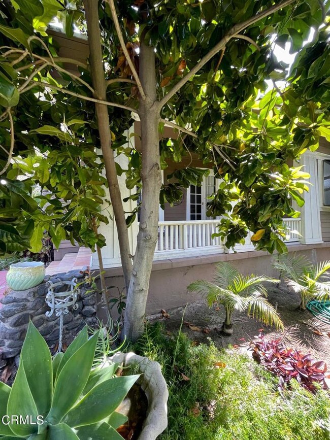 MLS_1800 pixC4299658-631B-4575-ADE2-ABF1