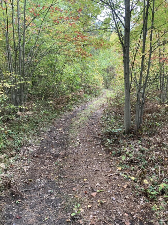 1815 12 Mile Rd, Bitely, MI 49309 - photo 6