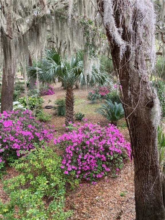 3469 Sutherland Bluff Dr NE, Townsend, GA 31331 - photo 6