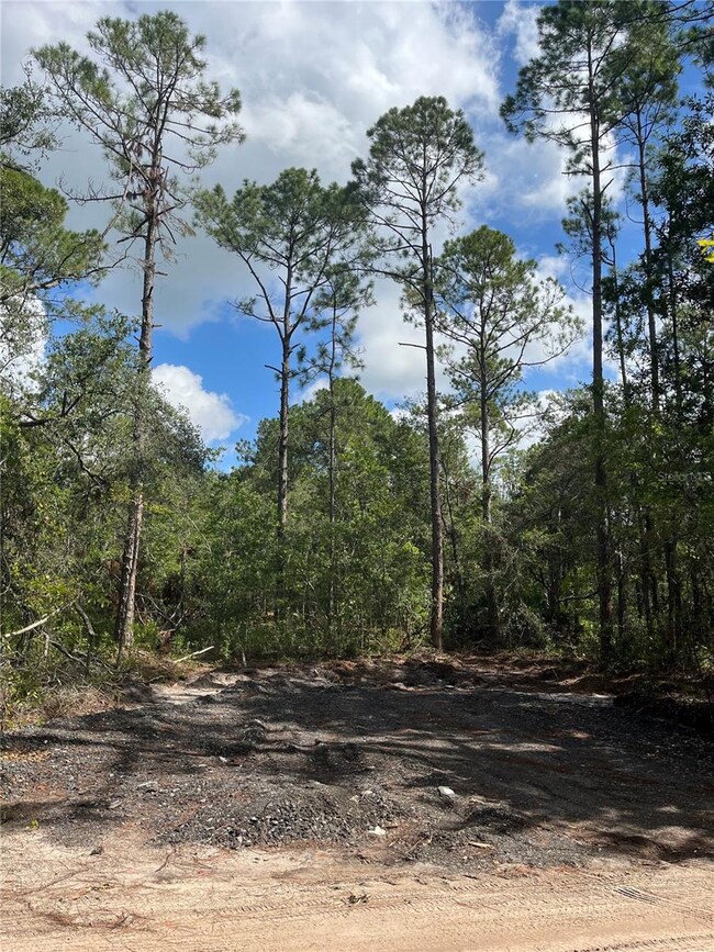 4613 Kola Rd, New Smyrna Beach, FL 32168 - photo 2