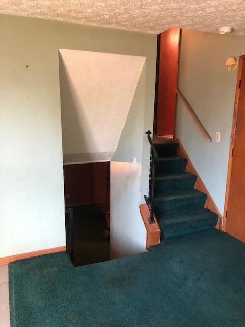 558 Old Tree Place, Columbus, OH 43228 - photo 3