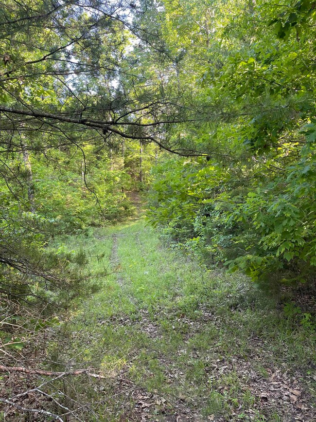 811 Pondfield Rd, Gaffney, SC 29340 - photo 6