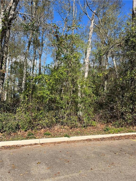 0 General Pershing St, Mandeville, LA 70448 - photo 2