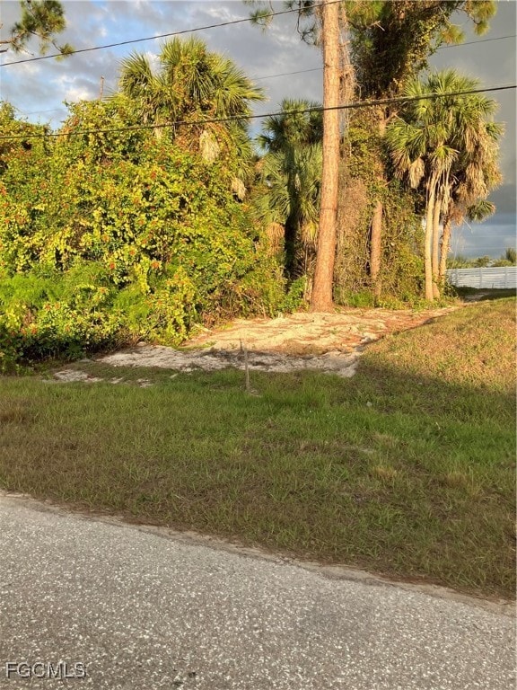 3709 NE 16th Ave, Cape Coral, FL 33909 - photo 3