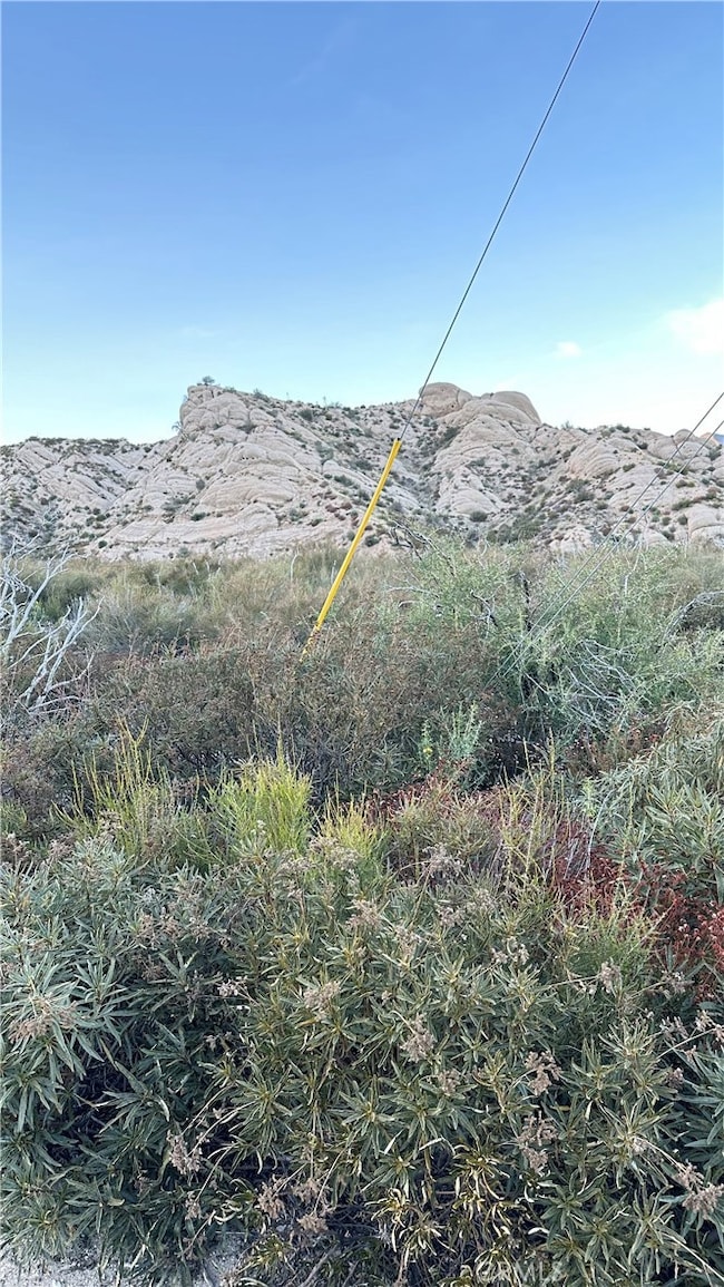 0 Farris Ranch Rd unit SW25101394, Pinon Hills, CA 92372 - photo 6