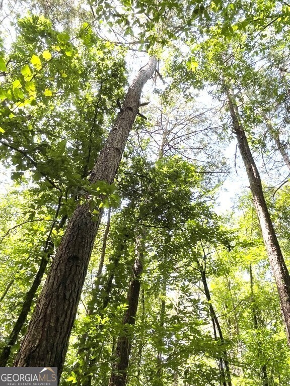 0 Georgia 22, Rayle, GA 30660 - photo 5