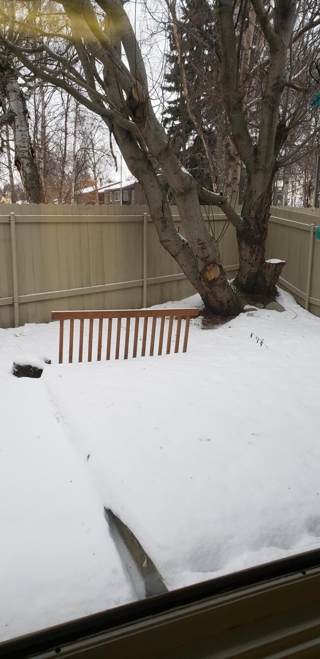 20190112_140058 (002)