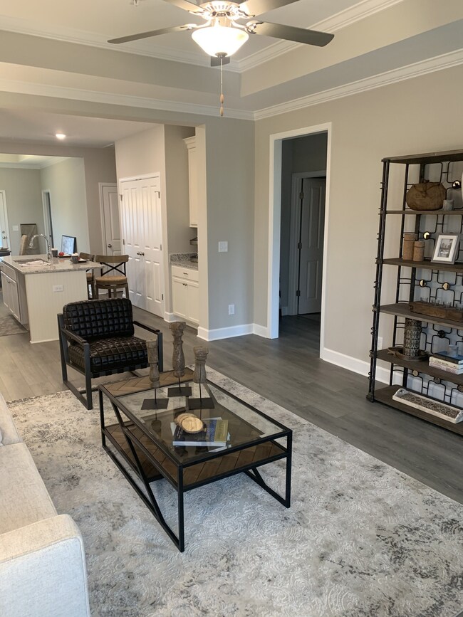 221 Mary Ann Cir, Spring Hill, TN 37174 - photo 7