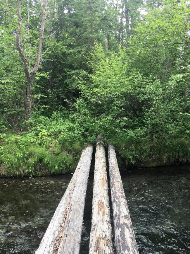 4585 S McKechnie Loop, Butte, AK 99645 - photo 5