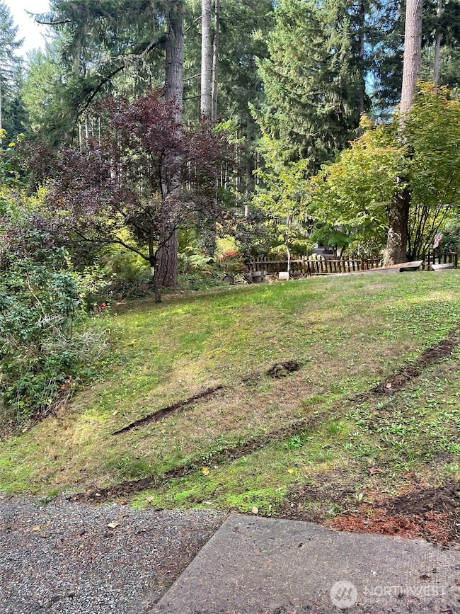 21648 N Terra Ln SE, Yelm, WA 98597 - photo 4