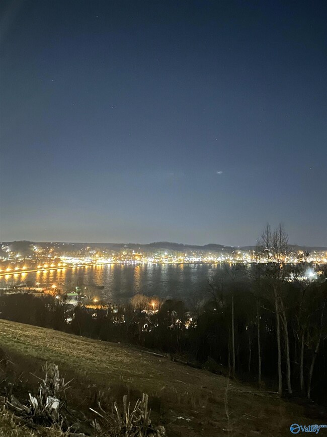 Lot 2 Woodvue Rd, Guntersville, AL 35976 - photo 3