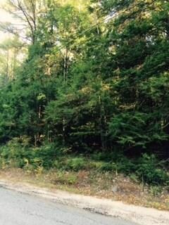 0 Burnham Rd unit 1240721, Bridgton, ME 04009 - photo 2