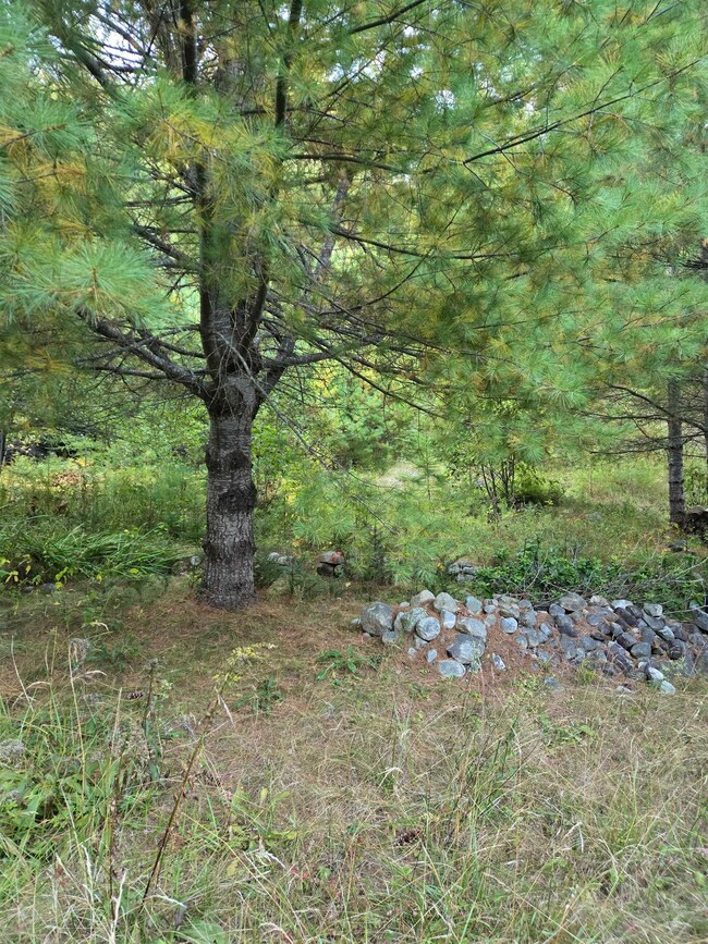 1058 Red Brook Rd, Groton, VT 05046 - photo 6