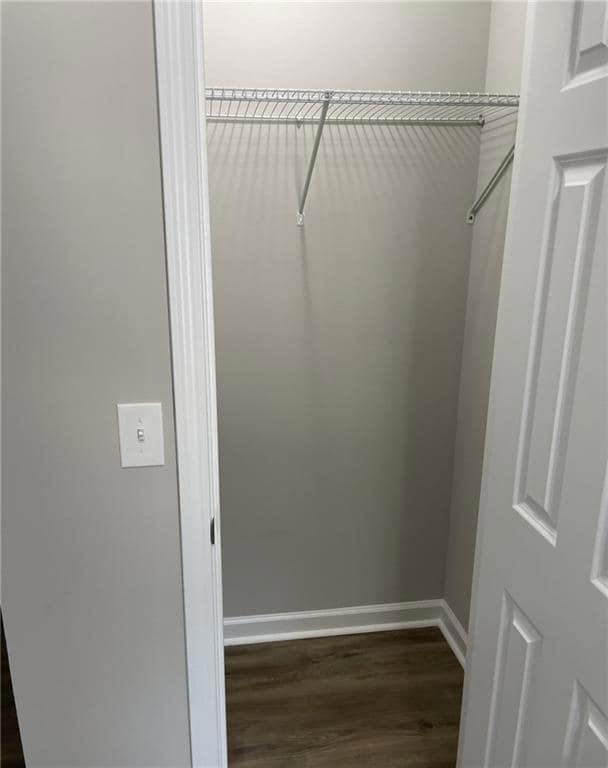 Spacious closet featuring dark wood-type flooring