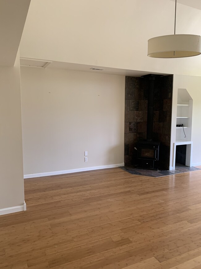 Wood burning fireplace and TV storage in bonus room