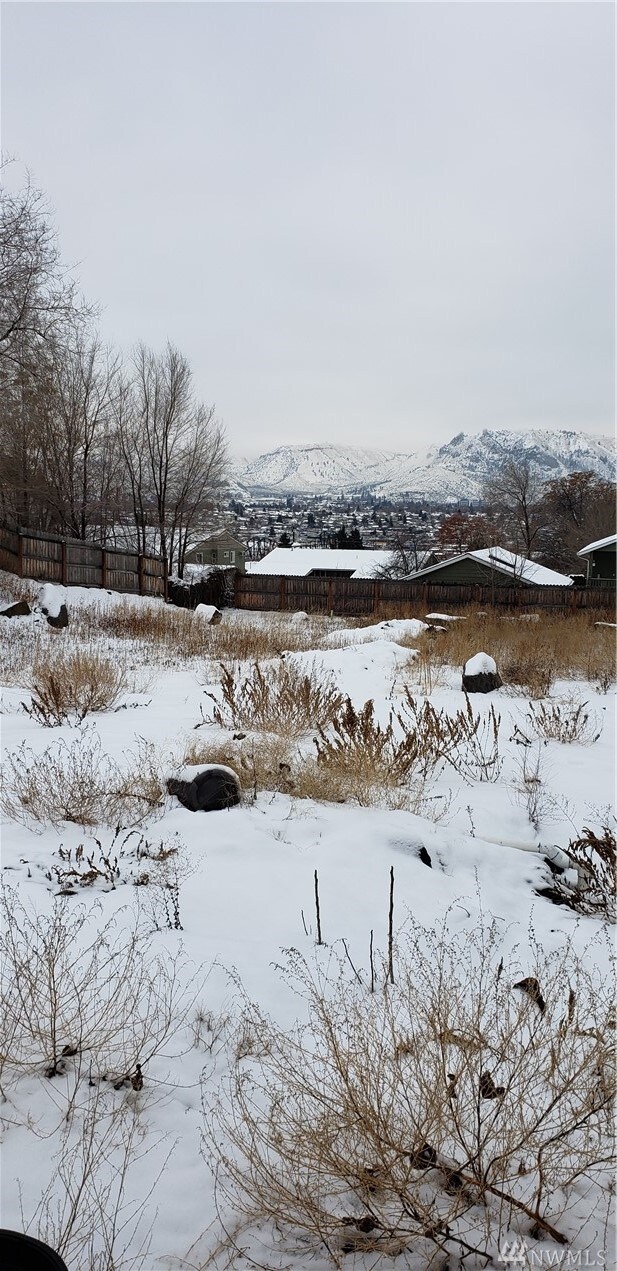 1002 N Colorado Ave, East Wenatchee, WA 98802 - photo 2