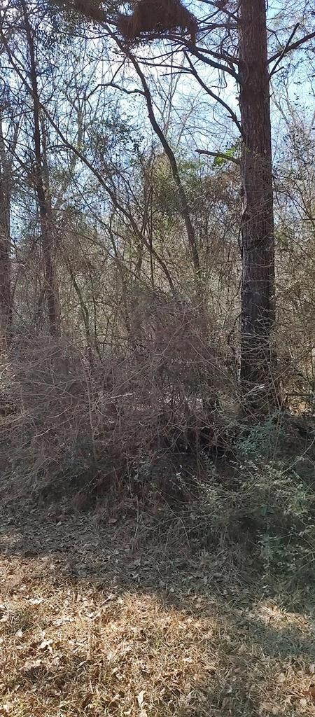 NHN Pecan Dr, Lumberton, MS 39455 - photo 6