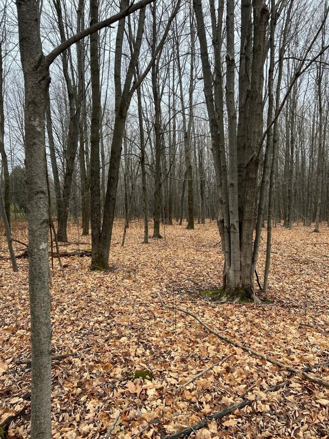 400621753_727111409446246_56517629702532