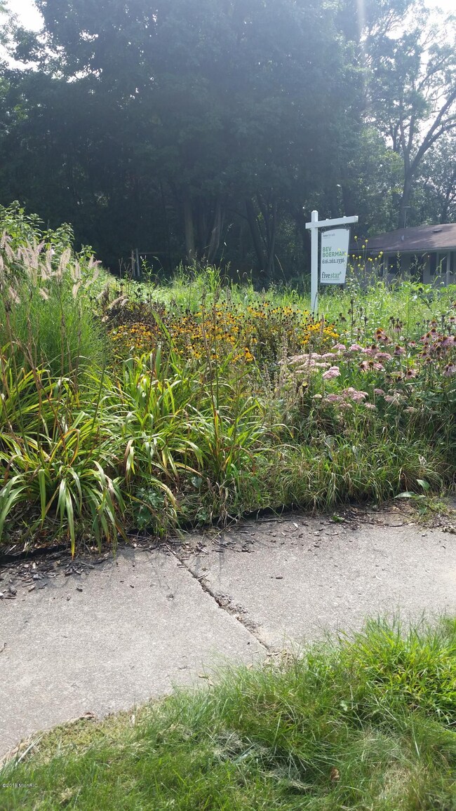 1622 Evergreen: Sidewalk
