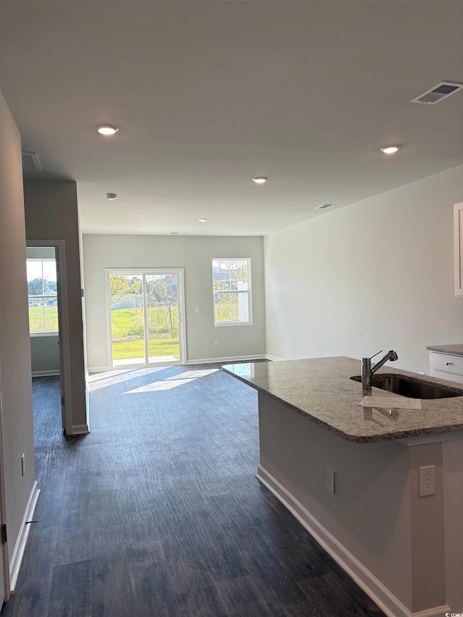 1301 American Shad St unit Lot 45, Conway, SC 29526 - photo 4