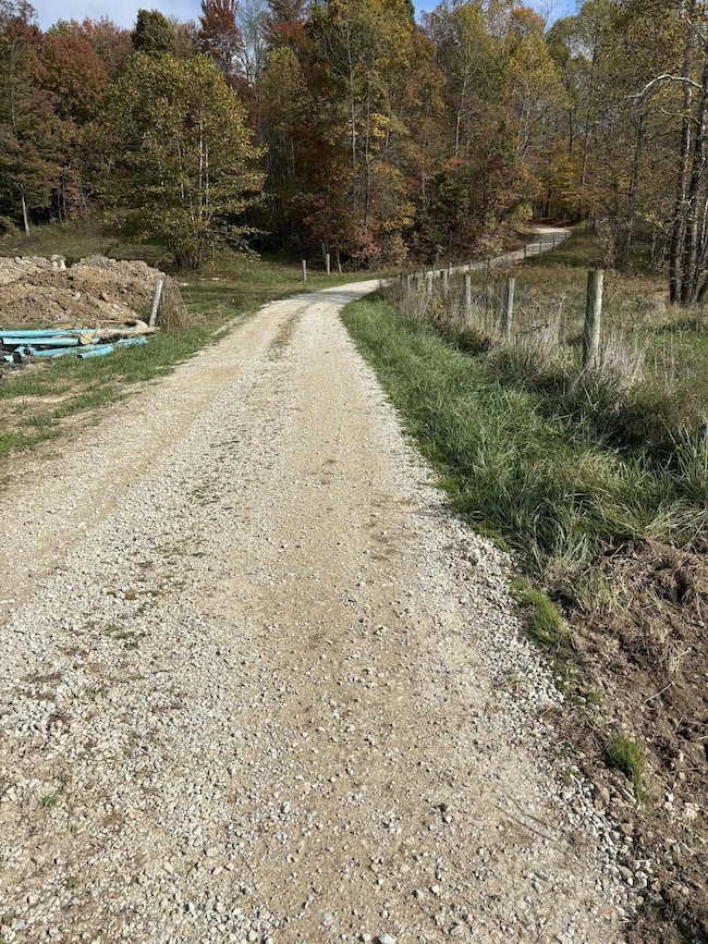 Pine Grove Ch Rd, Vanceburg, KY 41179 - photo 4