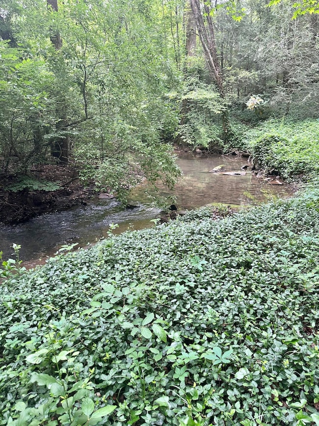 31762_Image_3