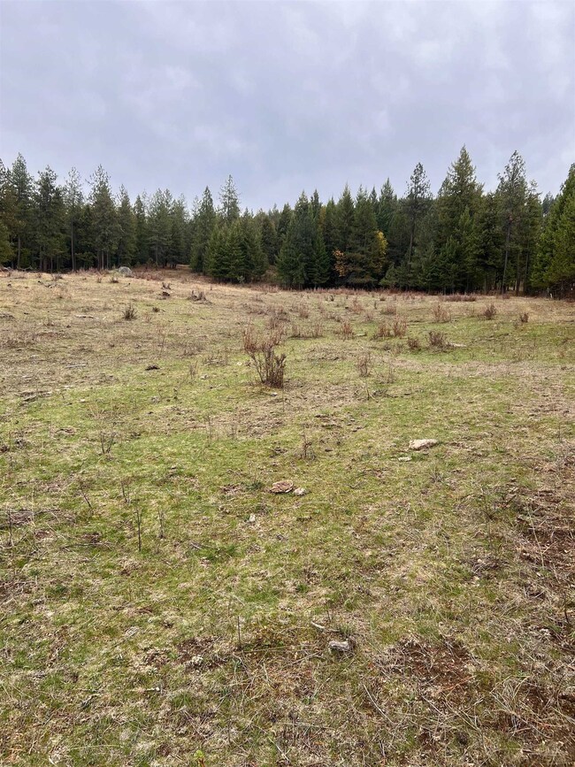 xxxx W Brant Rd, Colbert, WA 99005 - photo 6