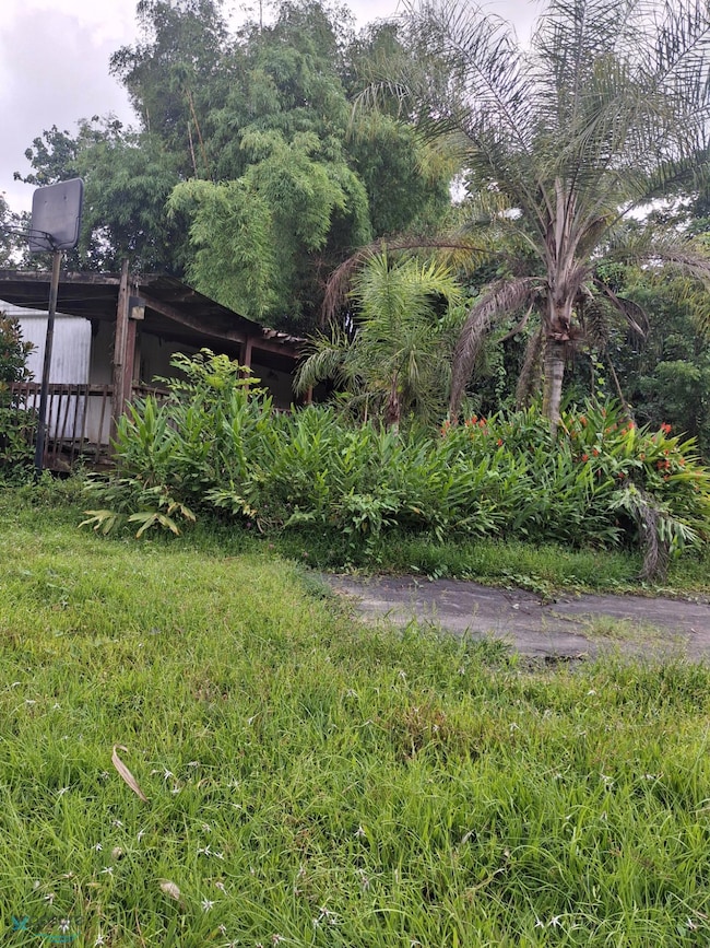 Km 1.5 Carretera 197, Aguas Buenas, PR 00703 - photo 4