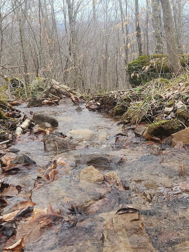 TBD Harper Trail, Valley Bend, WV 26293 - photo 5