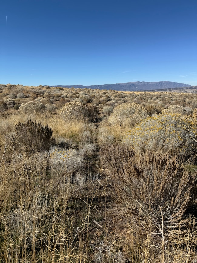 View of mountain background