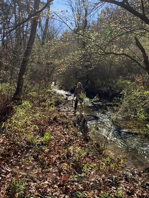 Lot 95 Cedar St, Ellijay, GA 30540 - photo 5