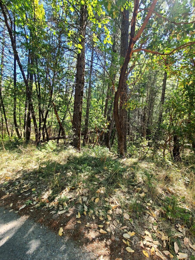 Arrowhead 5