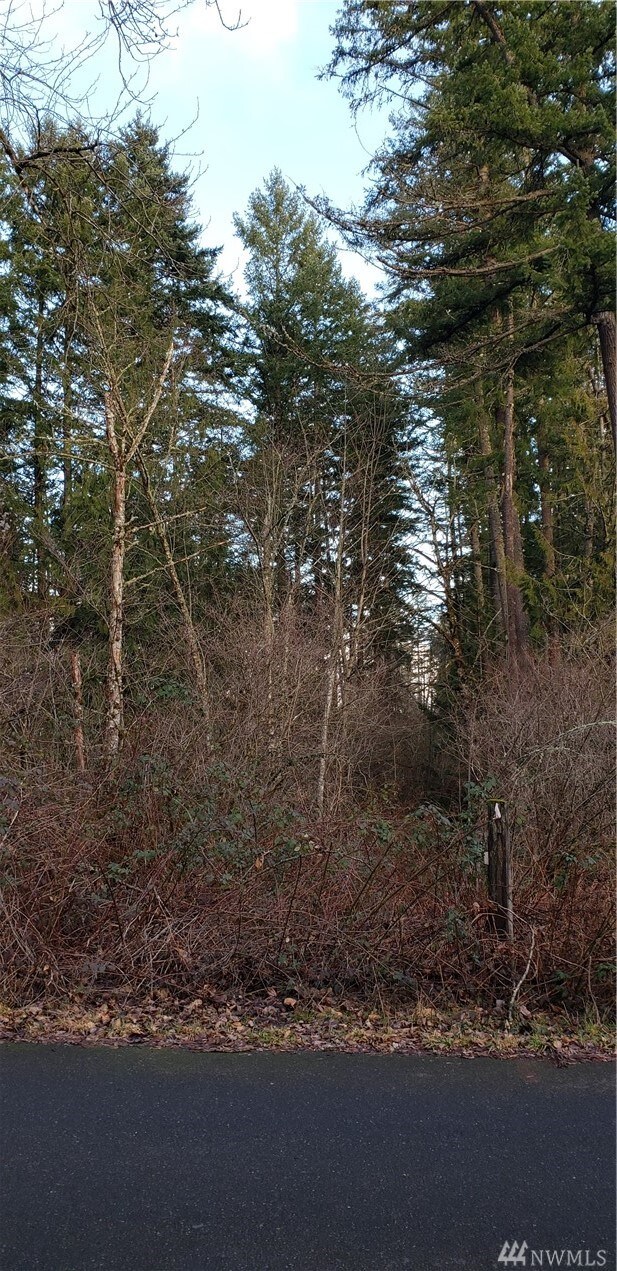 273 96th Ave E, Graham, WA 98338 - photo 7