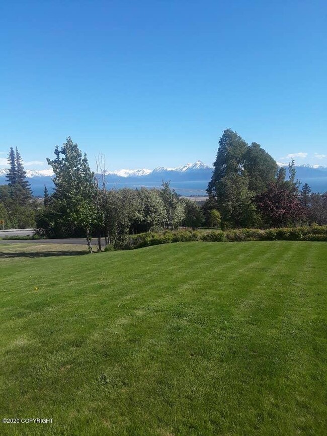 FrontYard2