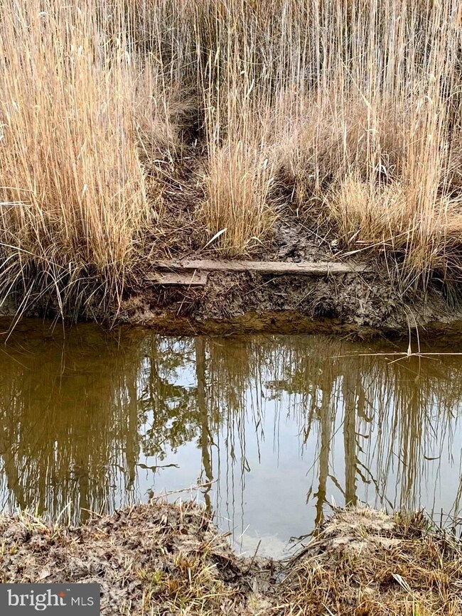 Parcel 0120 Bishops Head Rd, Toddville, MD 21672 - photo 6