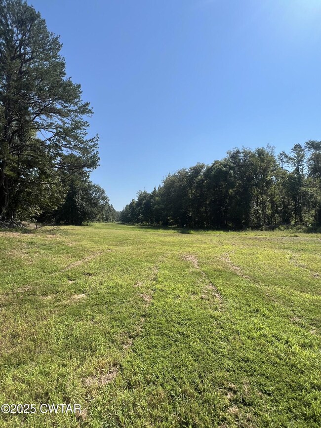 214 Arthur Byrd Rd, Pocahontas, TN 38061 - photo 6