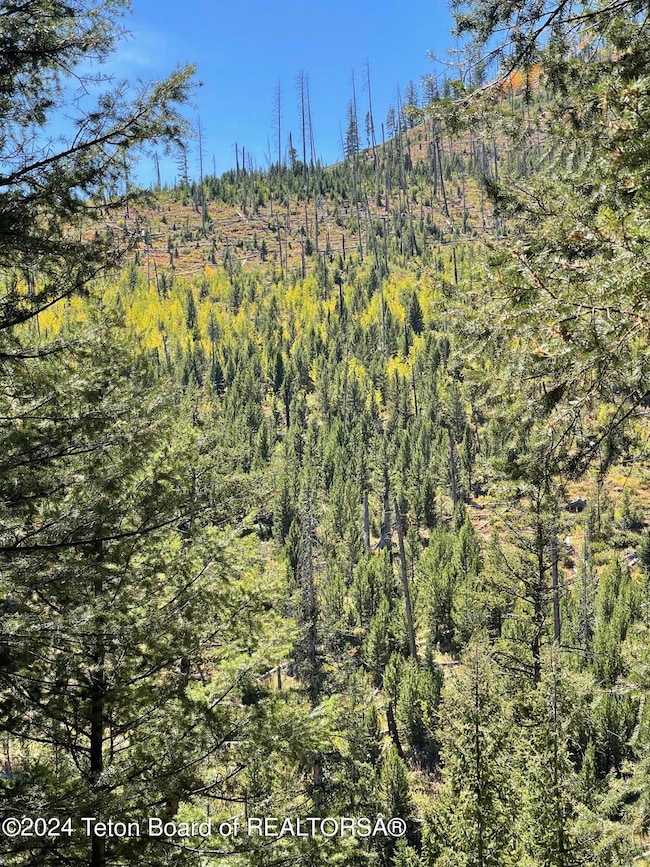 6880 Lupine Trail, Wilson, WY 83014 - photo 3