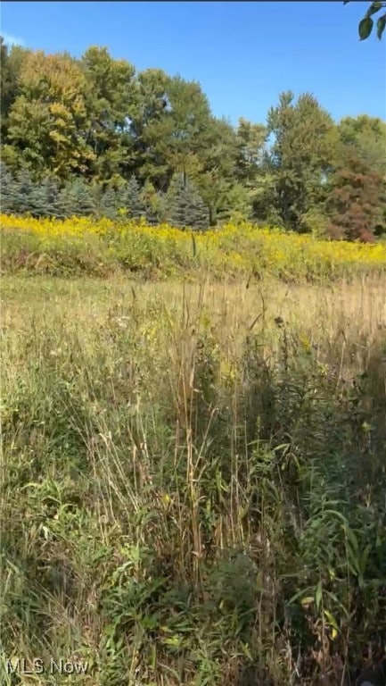 V/L High Bridge Rd, Vermilion, OH 44089 - photo 5