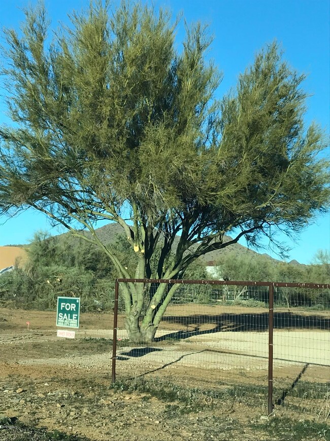 Front Gate facing toward N2