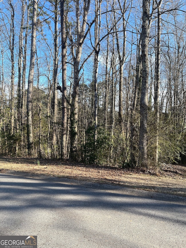 6145 Knights Ln, Douglasville, GA 30135 - photo 3