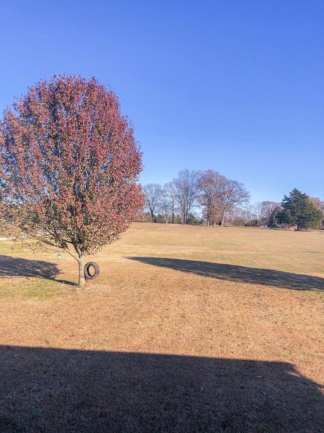 View from front porch