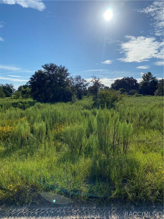 3.05 Acres NO HOA or Restrictions. Horses and Mobiles ok