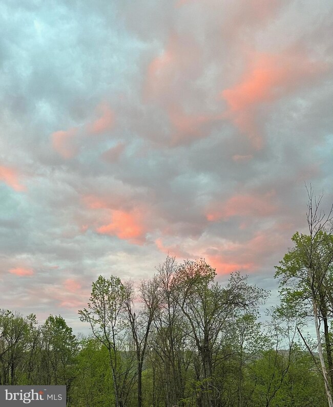 0 Old Orchard Rd unit VAWR2009908, Linden, VA 22642 - photo 3
