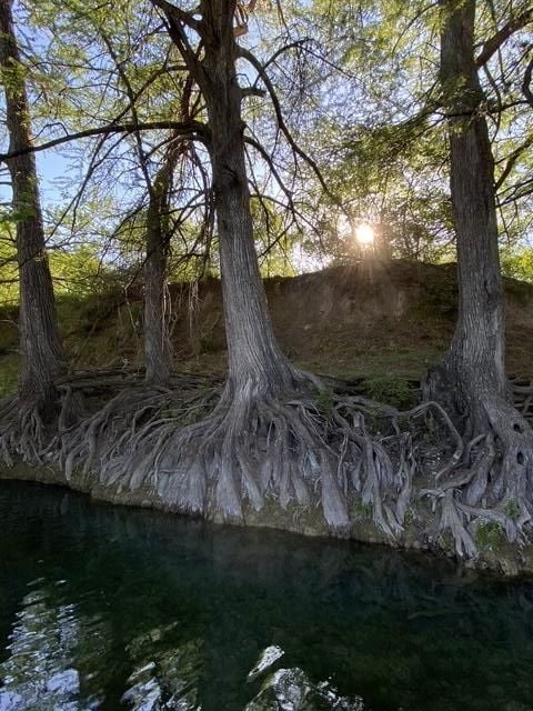 82 Private Road 3800, Utopia, TX 78884 - photo 4