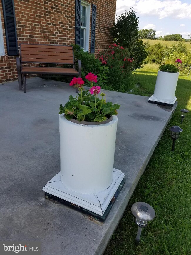 461 Thunderbird Rd, Front Royal, VA 22630 - photo 5