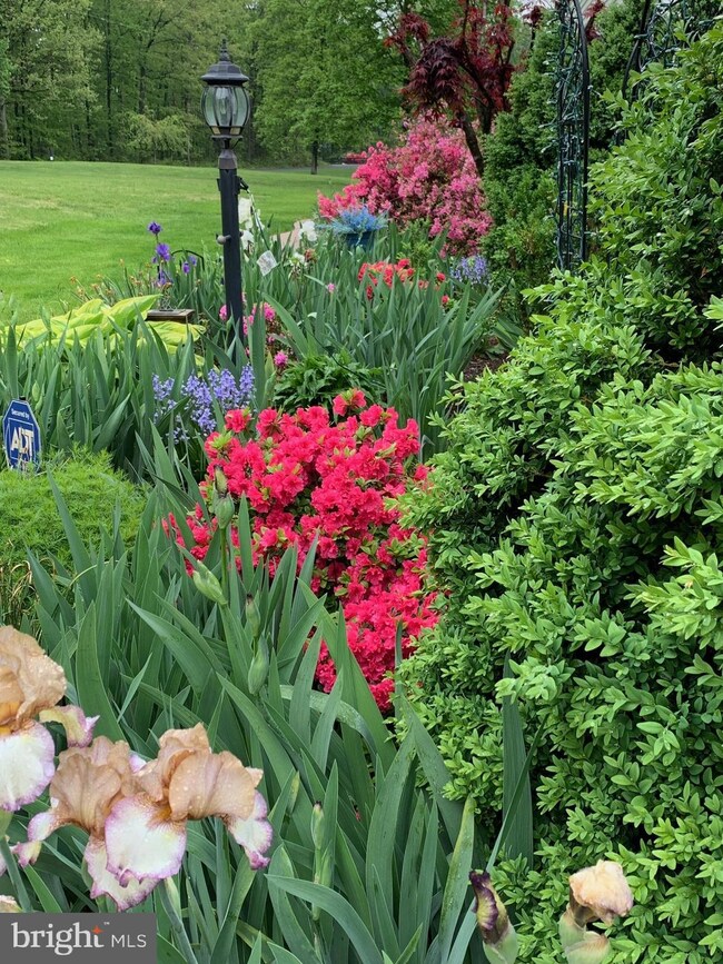 8231 Diamond Hill Rd, Warrenton, VA 20186 - photo 4