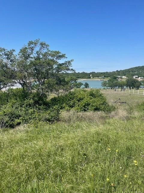 637 Hidden Shores unit Lot 39, Cisco, TX 76437 - photo 3