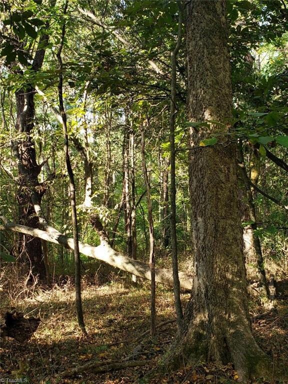 5680 Silk Hope Gum Springs Rd, Siler City, NC 27344 - photo 3