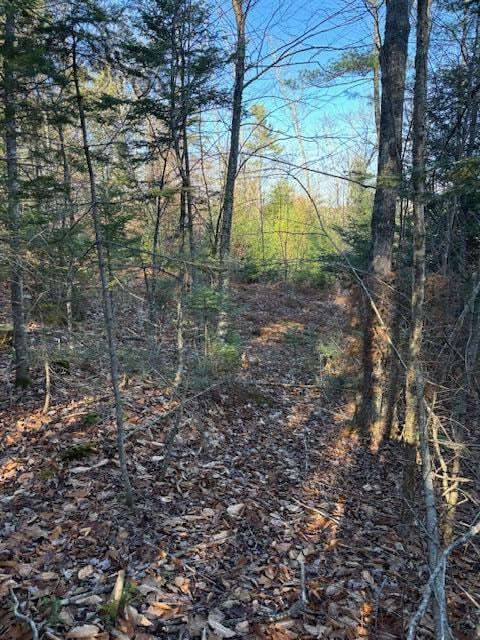 M 6, L 32 Main St, Wayne, ME 04284 - photo 4