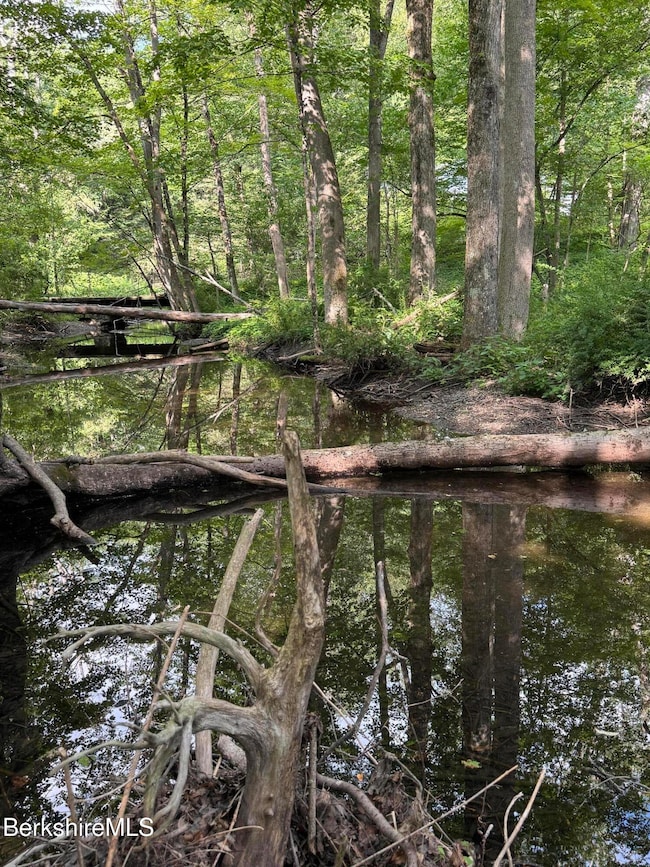 416 West Rd, Alford, MA 01266 - photo 2